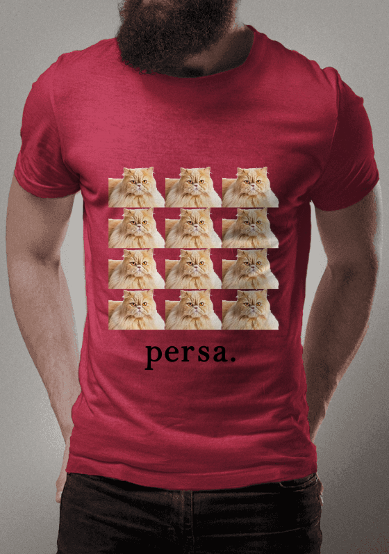 Nome do produto  Persa Amarelo