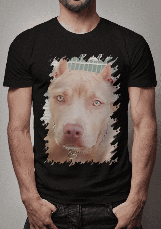 Nome do produto  Pets