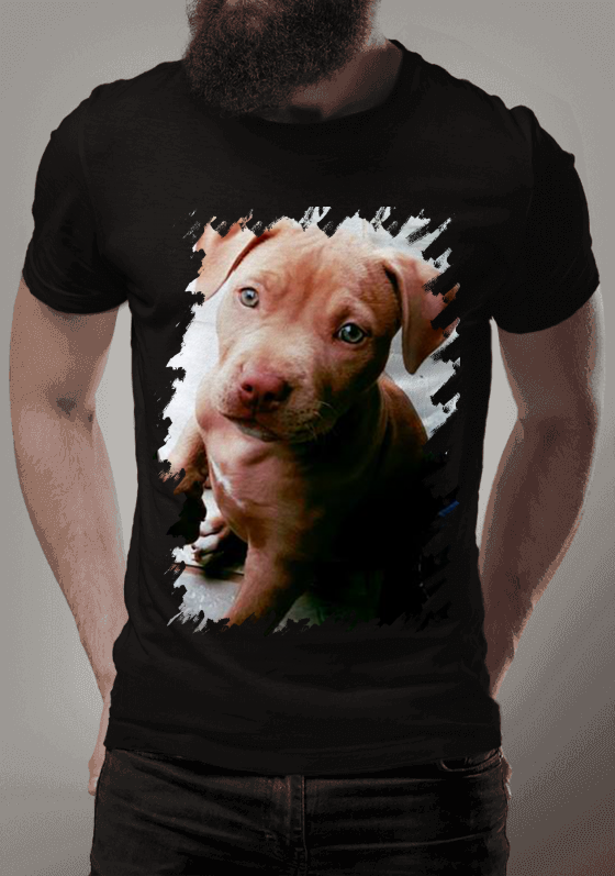 Nome do produto  Pets