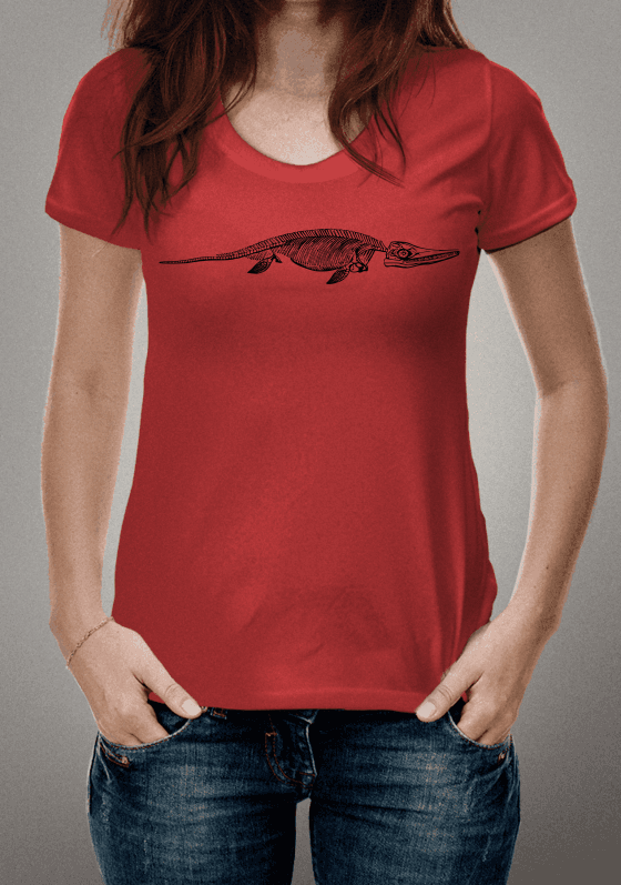 Nome do produto  Pliossauro fossilizado  