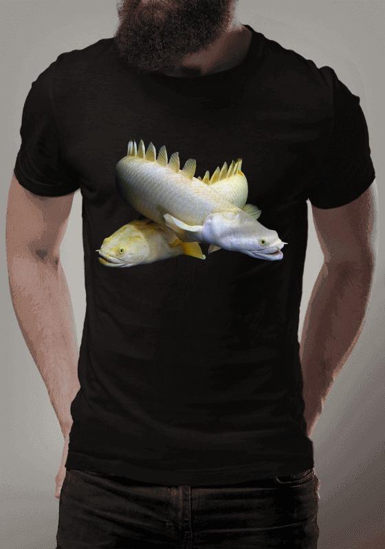 Nome do produto  Polypterus Albinos