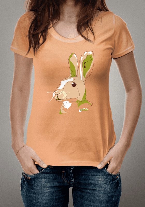 Nome do produto  rabbit