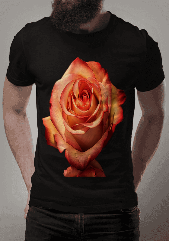 Rosa