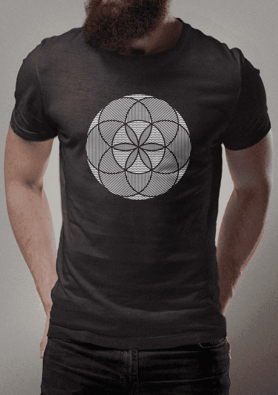 Nome do produto  Semente da Vida 2