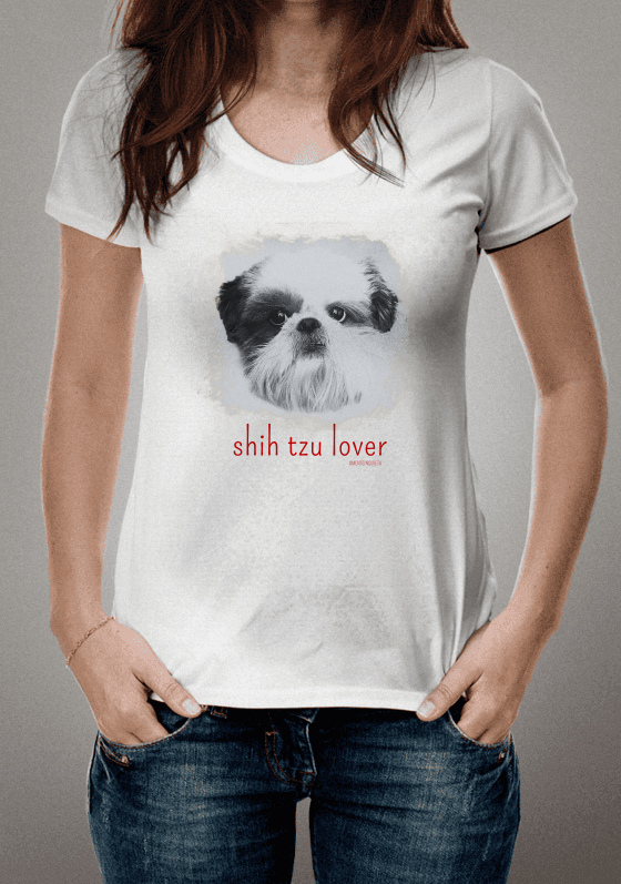 Shih tzu lover