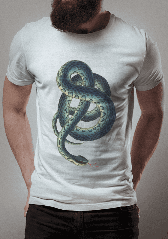 Nome do produto  SNAKE