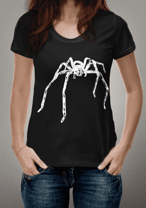 Nome do produto  Sparassidae