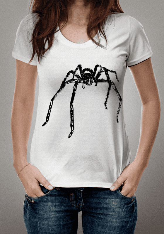 Nome do produto: Sparassidae