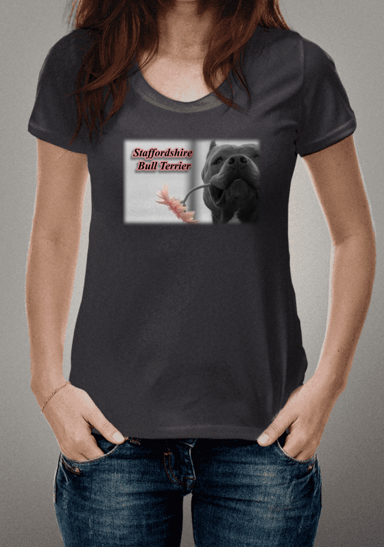 Nome do produto  	STAFFBULL TERRIER