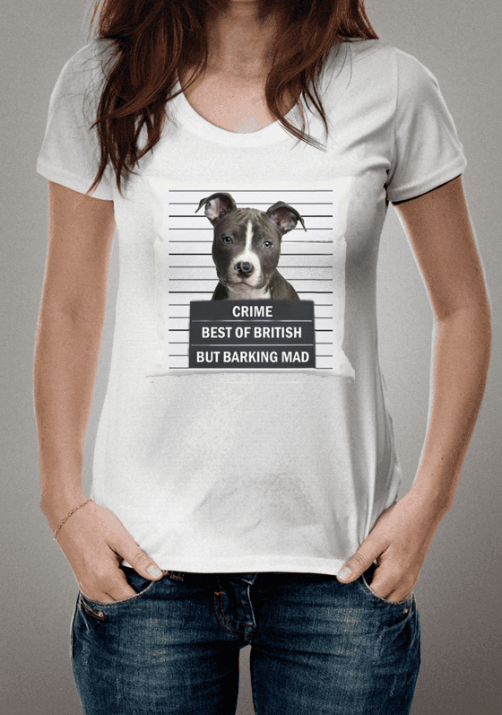 Nome do produto  Stafforshire Bull Terrier