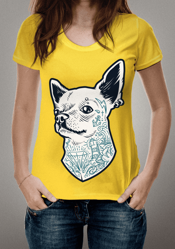 Stylish shihuahua