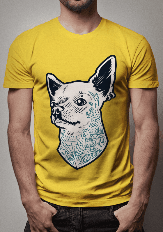 Stylish shihuahua