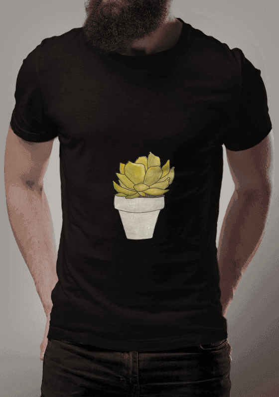 Nome do produto  Suculenta