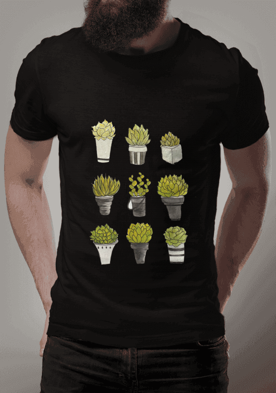 Nome do produto  Suculentas