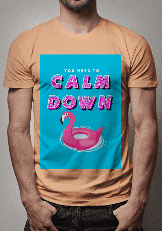 T-SHIRT  YOU NEED CALM DOWN