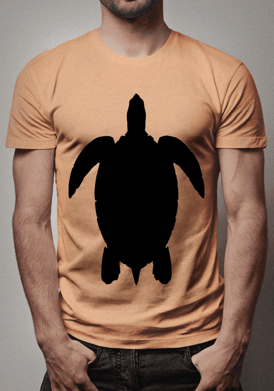 Nome do produto  Tartaruga