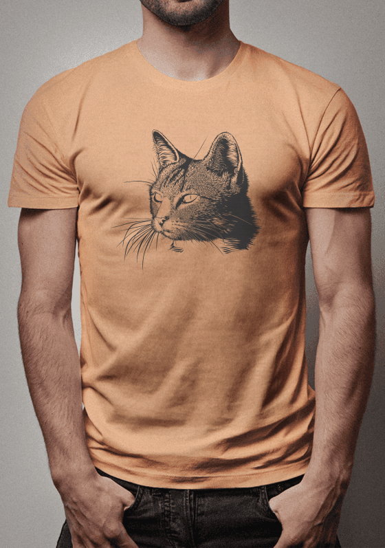 Nome do produto  The Cat