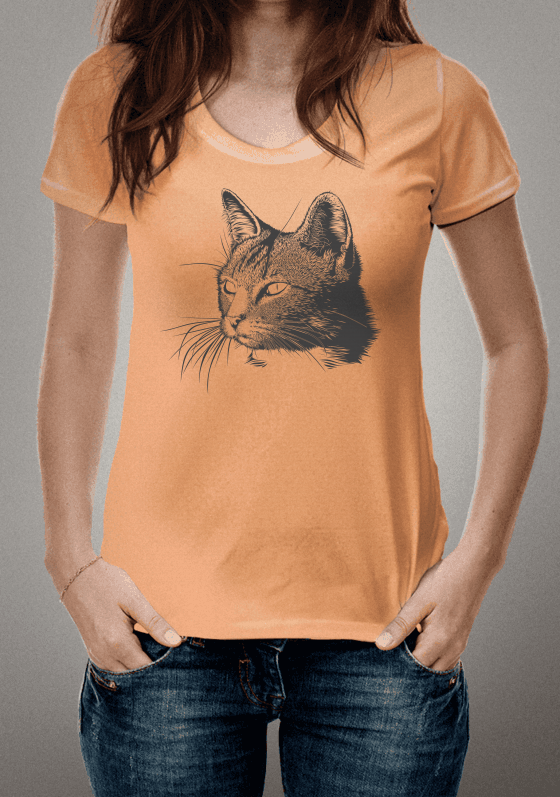 Nome do produto  The Cat