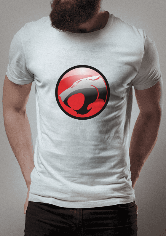 Nome do produto  THUNDERCATS 