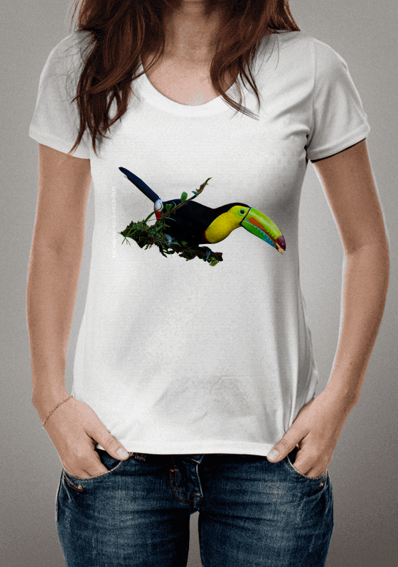 Nome do produto: Tucano-de-bico-arco-íris