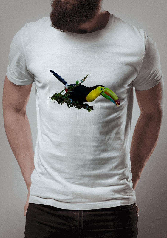 Nome do produto: Tucano-de-bico-arco-íris