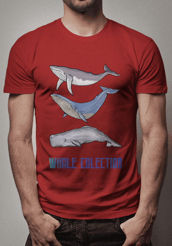 Whale Colection